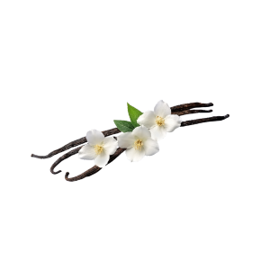 Vanilla