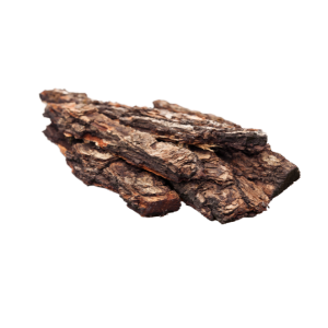 Oud